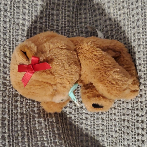 Little Live Pets Interactive Bear with pacifier - Picture 4 of 8